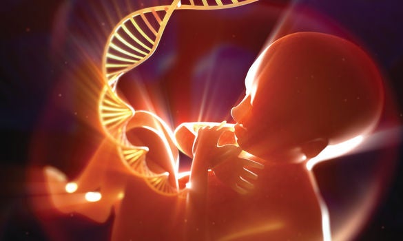 Non-Invasive Prenatal Testing - SingHealth Duke-NUS Genomic Medicine Centre