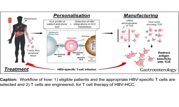 Personalized T-cell therapy for liver cancer