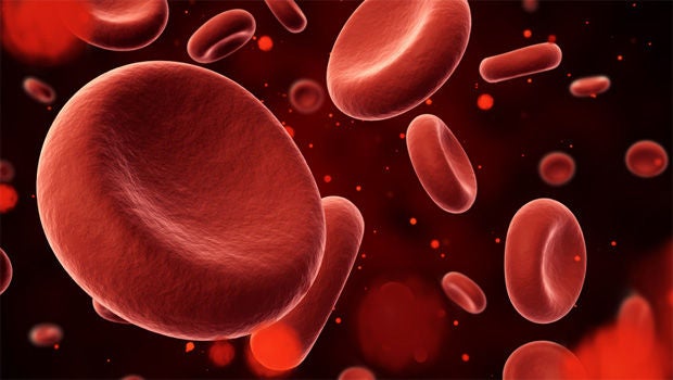 ​Uniting efforts to fight blood cancer