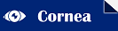 Cornea
