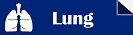 Lung