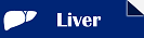 Liver