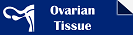 Ovarian Tissue