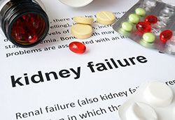 Renal Medicine diagnosis and treatment of kidney diseases by SingHealth hospitals.