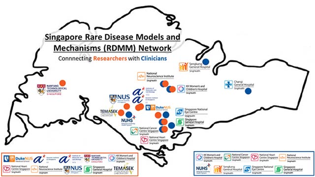 Singapore Rare Disease Models and Mechanisms (RDMM) Network