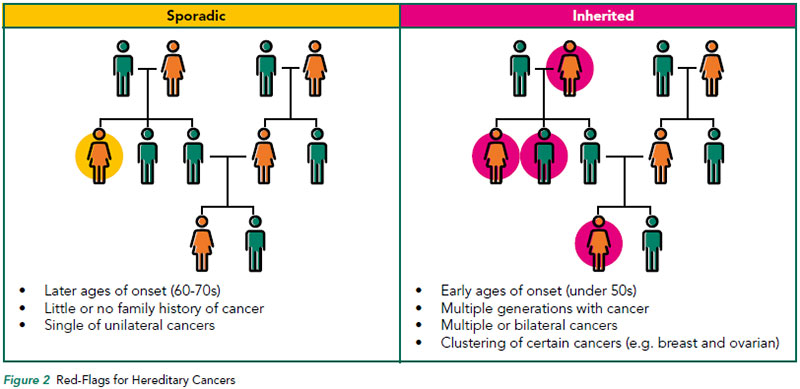 Red-Flags for Hereditary Cancers - NCCS