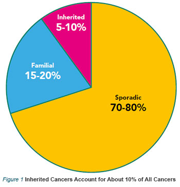 Inherited Cancers Account for About 10% of All Cancers