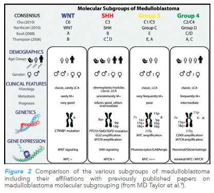 Comparioson of subgroups of medulloblastoma. KKH