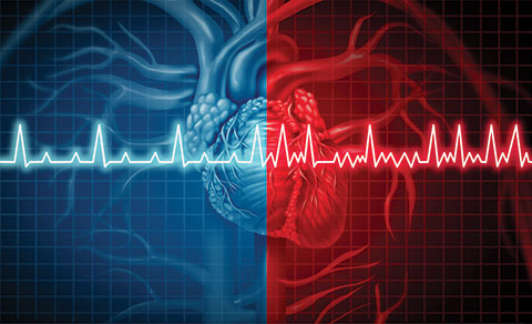 Busting Atrial Fibrillation Myths For Heart Health
