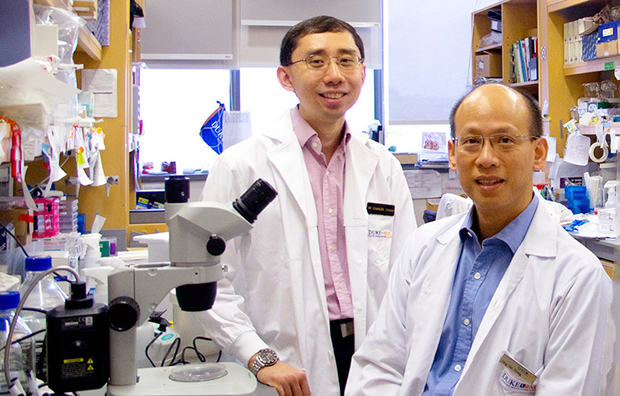 ​The State of Research : Duke-NUS Cancer and Stem Cell Biology Programme