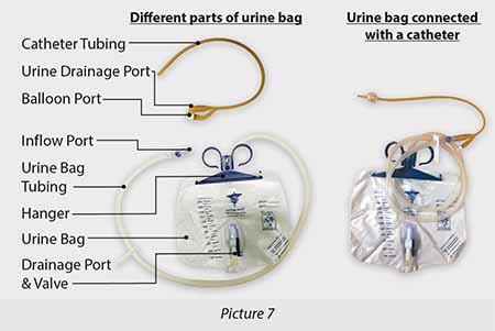 Urine Collection Bags Manufacturer & Supplier | India