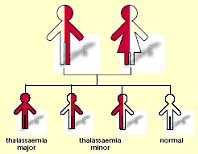 both parents have thalassaemia minor