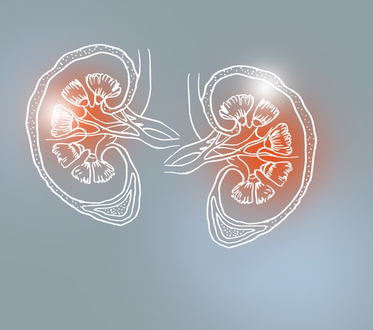 First Recovered COVID-19 Patient to Undergo Kidney Transplant 