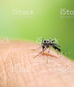 77-Severe-Dengue-Early-Detection-and-Treatment
