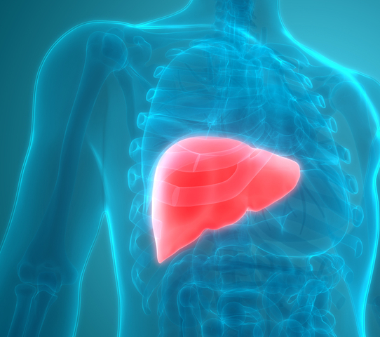 Liver Cancer: Risks, Symptoms and Treatment