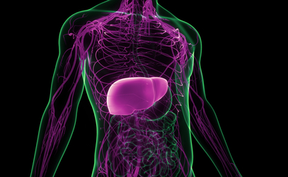 Why Detecting Liver Cancer Early is Important